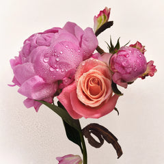Full Body Fragrance Routine - Clean Bundle