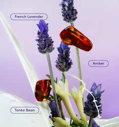 Skin Replenishing Body Wash - Clean Mood