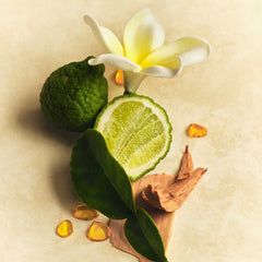 Hair & Body Mist - Travel Edit
